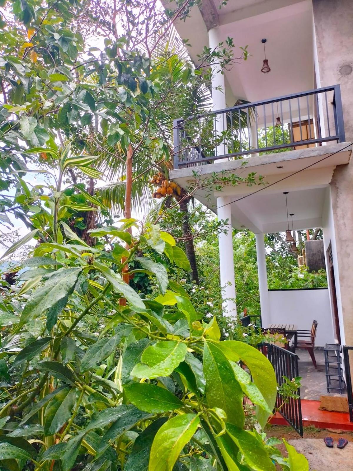 Ella Cloud Castle Homestay Privatunterkunft *